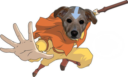 LilyPup-airbender