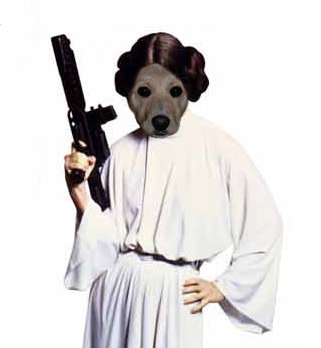 LilyPup-starwars