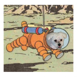 ody-tintin