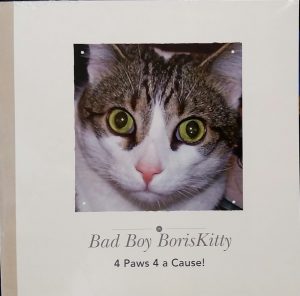 Boris Kitty Book