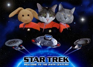 posters-trek-01