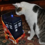 Talking TARDIS Cookie Jar