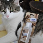 Cat Poop Hand sanitizer 