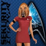 2013 SCIFIPAWTY Sekurity Team for Ur Protekshuns