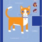 QUIRKNOTES CAT