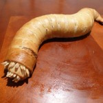 Spice Filled Sandworm