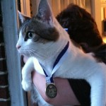 me in my #teddyolympics medal. 