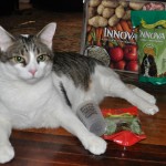 Innova Pet Foods Trial & Giveaway