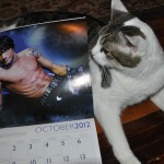 Hot Dudes Cute Kitties da 6 Pack 9 Lives Calendar