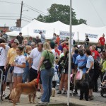 Walk for the Animals