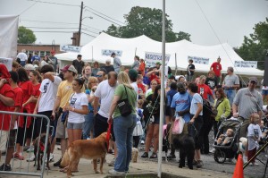 Walk for the Animals