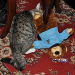 Foster Monster Caught Killing Spock Teddy