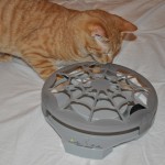 panic mouse web cat toy