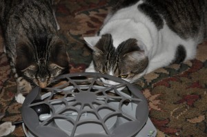 panic mouse web cat toy