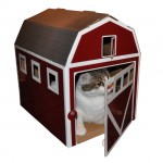 Red Barn for Cats