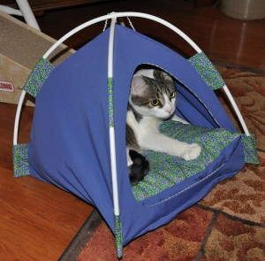 Boris in Tent