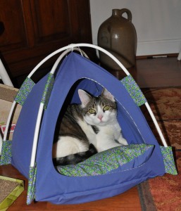 pawsum Tent