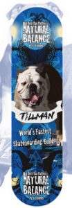 tillman skateboard