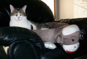 sock monkey bed 