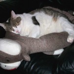 Sock Monkey Pet Bed