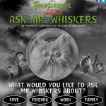 Ask Mr Whiskers