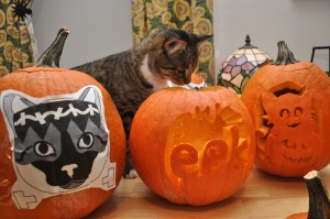 Piper wif EEK Pumpkins