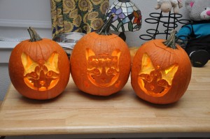 Look at all dem Boris-o-lanterns!