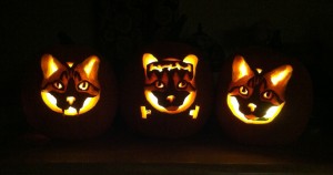 dark n skeery boris-o-lanterns