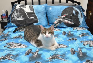 Star Wars Sheets