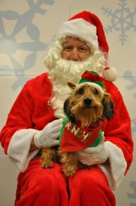 petsmart santa paws