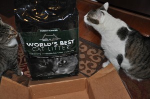 World's Best Cat Litter