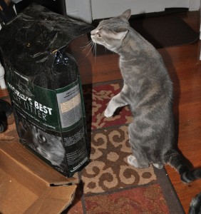 World's Best Cat Litter