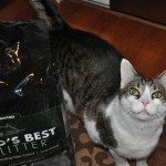 World's Best Cat Litter New Scent Unveiled