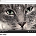 The Sad Cat Diary [video and it not me]