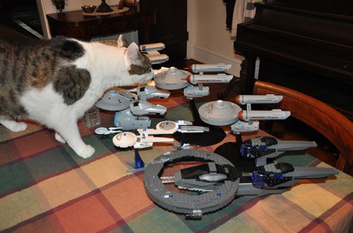 Pawfleet ships