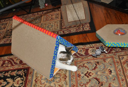 scratcher tunnel