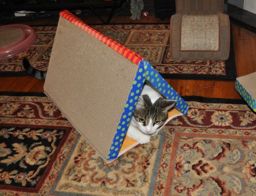 scratcher tunnel