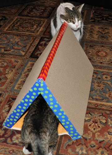 Scratcher Tunnel