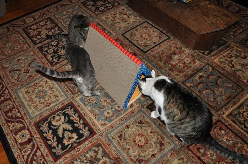 Scratcher Tunnel