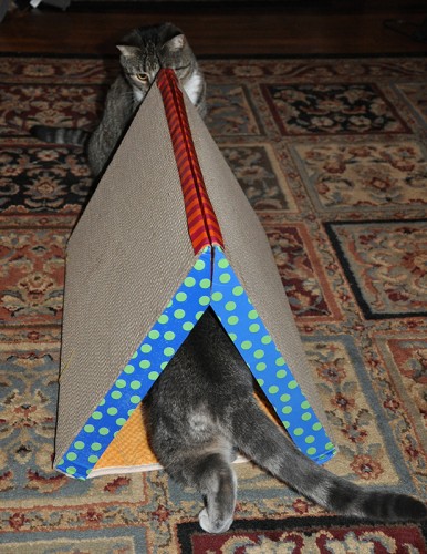 Scratcher Tunnel