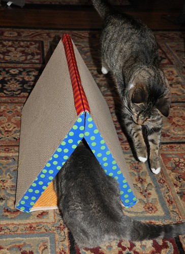 Scratcher Tunnel