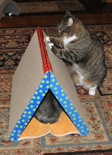 Scratcher Tunnel