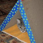 scratcher tunnel