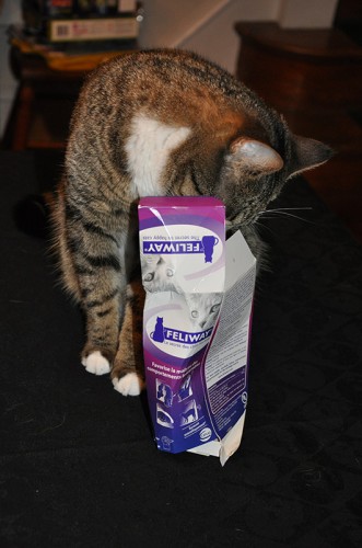 feliway-test-05