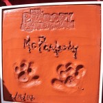 Special Paw-Print Ceremony on Holly-WOOF Blvd