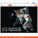 CardsFromCats.com is Pawsum Fun