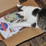 I Gots Klout & Dat Gets Me Perks Like Dis Hills Science Diet Box o Goodies