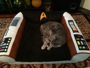  Star Trek Captains Chair Stolen