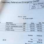 Vet Bills