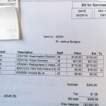 Vet Bills